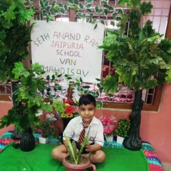 Van Mahotsav Week - Plantation drive at Seth Anandram Jaipuria School Mirzapur (10)