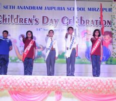 Seth Anandram Jaipuria School Mirzapur (3)